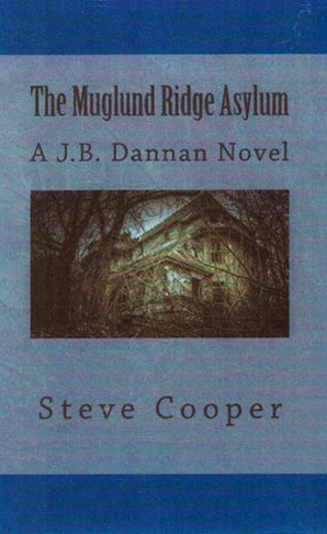 The Muglund Ridge Asylum book cover